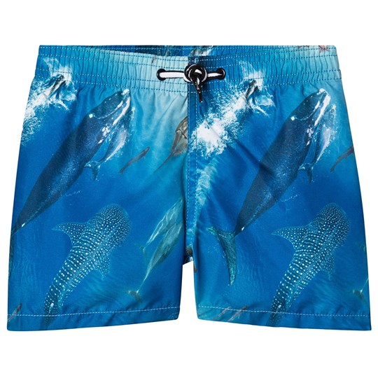 MOLO - Badeshorts Niko Above Ocean UPF 50+