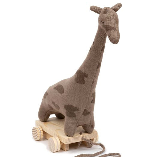 Nachziehtier Giraffe