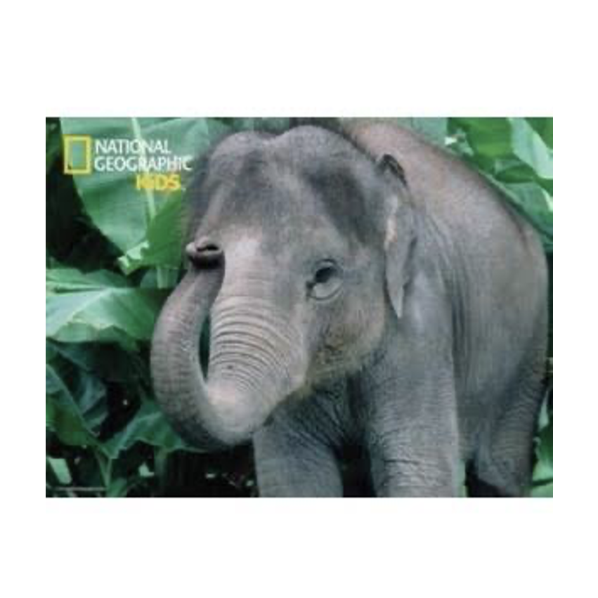 Discovery - Puzzle 3D Elefante 100 piezas