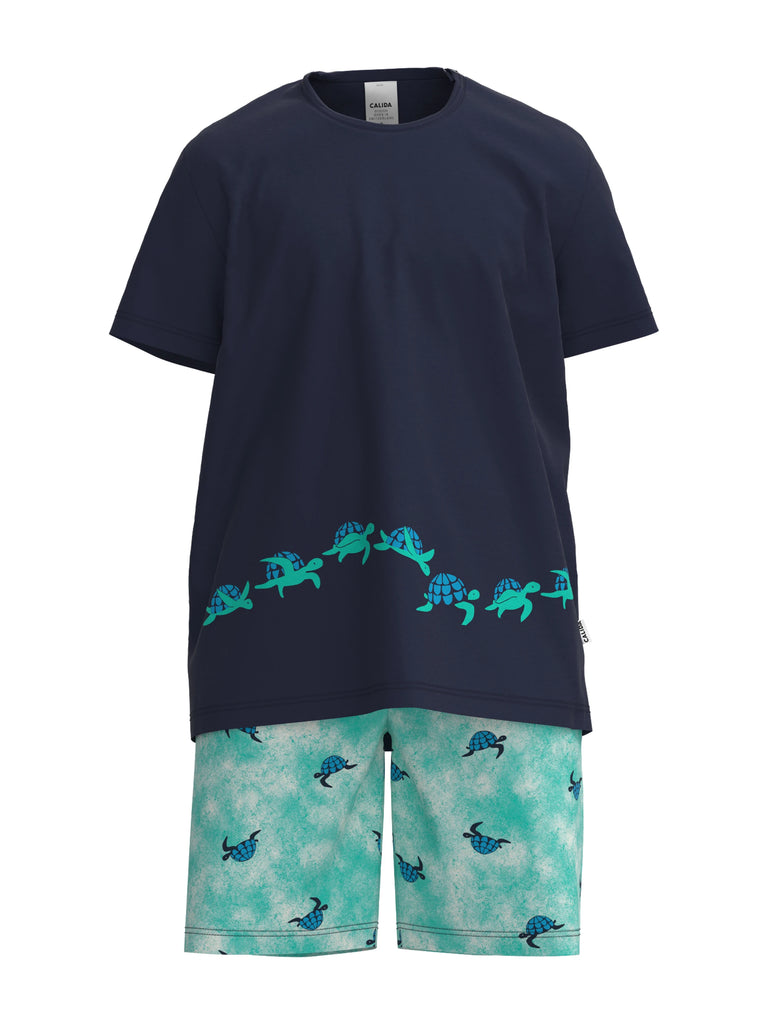 Calida muška pidžama kornjača 58078