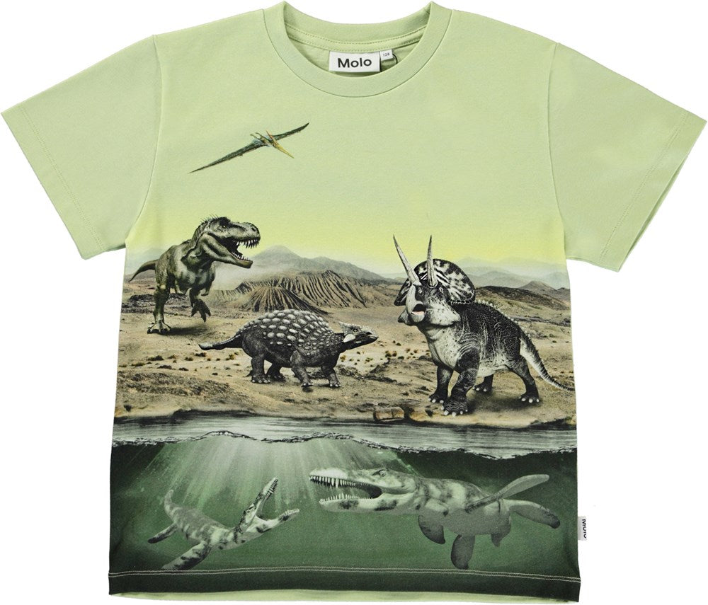 Molo 1S22A223 7690 Dino Earth Boy T-Shirt
