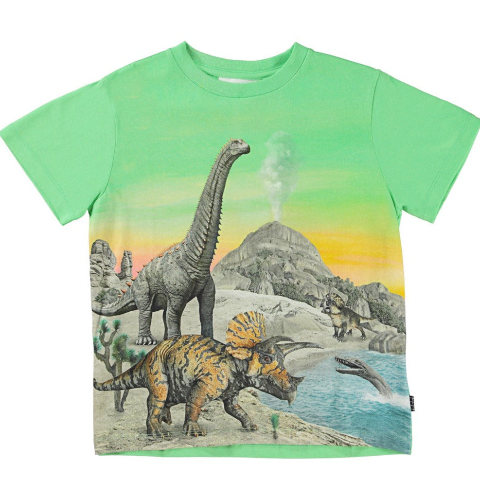 Molo T-Shirt Garçons Dino 1S23A204 Rame