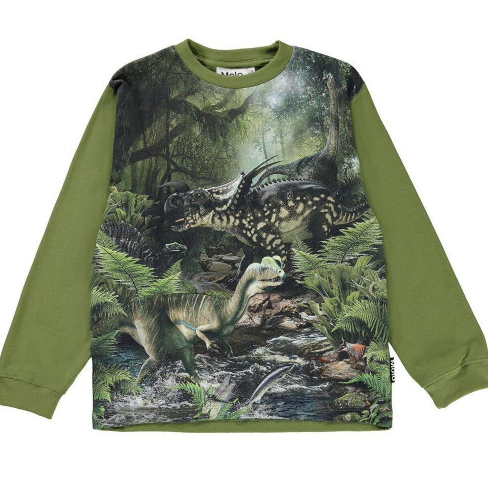 Molo Shirt Boy Rube Green Dinos 1W22A408
