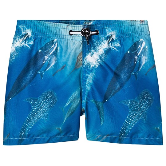 MOLO - Plivačke kratke hlače Niko Above Ocean UPF 50+