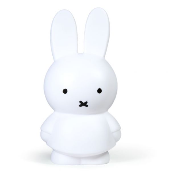 caja de dinero miffy